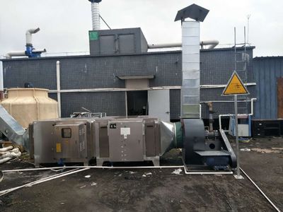 中科新藍 東莞地區(qū)安全可靠的廢氣處理與垃圾站除臭環(huán)保設備安裝專家